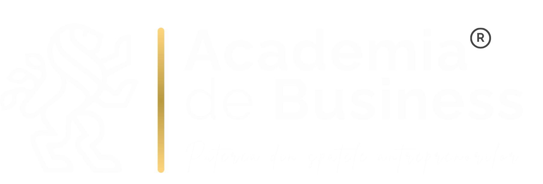 Academia de Business — partener de expansiune